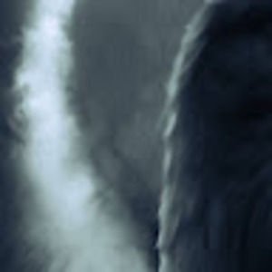 Meet your Posher, Aviside